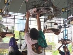 HUT Bhayangkara ke-80: 1.200 Ikuti Lomba Burung Berkicau di Mapolres Metro Depok