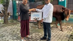 CTP Tollways Salurkan 2 Sapi dan 2 Kambing dalam Program Pelindo Berbagi Qurban 2026