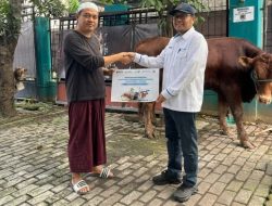 CTP Tollways Salurkan 2 Sapi dan 2 Kambing dalam Program Pelindo Berbagi Qurban 2026