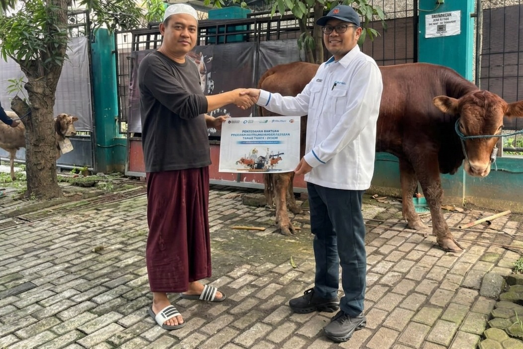 CTP Tollways Salurkan 2 Sapi dan 2 Kambing dalam Program Pelindo Berbagi Qurban 2026