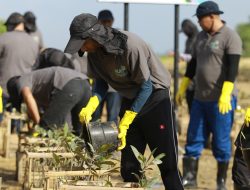 Melalui Gerakan Masyarakat Peduli Mangrove Badung, PLN Perkuat Upaya Pelestarian Lingkungan