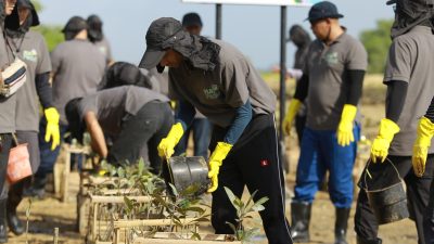 Melalui Gerakan Masyarakat Peduli Mangrove Badung, PLN Perkuat Upaya Pelestarian Lingkungan