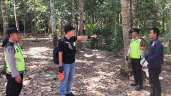 Pria di Puring Tewas Usai Terjatuh dari Pohon Kelapa Saat Menderes