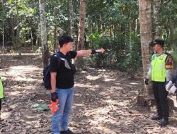 Pria di Puring Tewas Usai Terjatuh dari Pohon Kelapa Saat Menderes