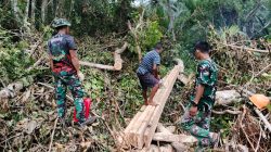 Satgas TMMD Ke-129 Tunjukkan Dedikasi, Ambil Material Kayu untuk Renovasi RTLH di Desa Umbele