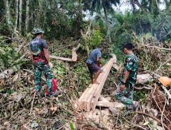 Satgas TMMD Ke-129 Tunjukkan Dedikasi, Ambil Material Kayu untuk Renovasi RTLH di Desa Umbele