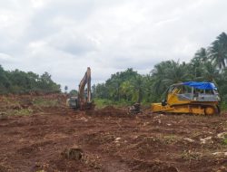 Perapian Jalan Terus Berlanjut, Pembukaan Akses di Kepulauan Umbele Tunjukkan Progres Positif