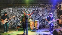 WAPRESS Bulungan Bangkit, Jakarta Anti Culun Hidupkan Lagi Skena Musik Independen Jakarta