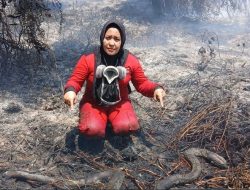 Media Malaysia Soroti Penanganan Karhutla Kalimantan Barat
