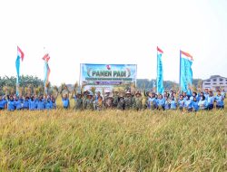 Panen Padi Lanud Halim Perdanakusuma Perkuat Ketahanan Pangan Nasional 