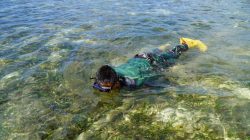 Satgas TMMD Ke-129 Turun Menyelam Periksa Kebocoran Pipa Air Bersih di Laut