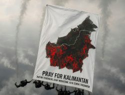 KPI Dorong Pemerintah Perkuat Penanganan Karhutla di Kalimantan