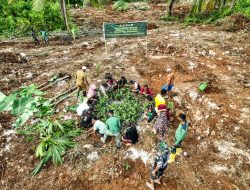 Satgas TMMD Ke-129 Kodim 1311/Morowali Bersama Warga Laksanakan Penanaman Bibit untuk Dukung Ketahanan Pangan