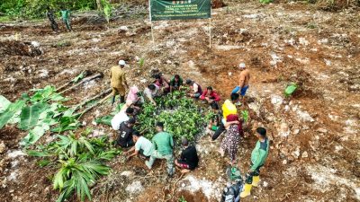 Satgas TMMD Ke-129 Kodim 1311/Morowali Bersama Warga Laksanakan Penanaman Bibit untuk Dukung Ketahanan Pangan