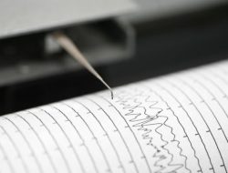 Gempa M 7,7 Guncang NTT, Warga 4 Wilayah Diminta Waspada Tsunami