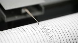 Gempa M 5,6 Guncang Halmahera Barat, BMKG Pastikan Tak Berpotensi Tsunami