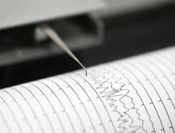 Gempa M 5,6 Guncang Halmahera Barat, BMKG Pastikan Tak Berpotensi Tsunami
