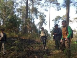 Perhutani Bandung Utara Bersama LMDH Lakukan Patroli Antisipasi Karhutla