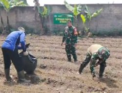 Sektor 8 Citarum Harum Siapkan Lahan Demlot Pertanian, Uji Pemanfaatan Pupuk untuk Dukung Pertanian Produktif