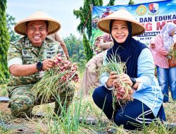Lanud Halim Perdanakusuma Panen Bawang, Perkuat Sinergi dengan Masyarakat Dukung Ketahanan Pangan