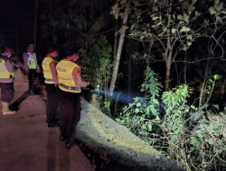 Sempat Terlihat Titik Api, Karhutla 0,4 Hektare di Karanggayam Berhasil Dipadamkan