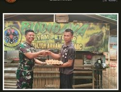 Batalyon Arhanud 10/ABC Kembangkan Urban Farming Ayam Petelur, Hasilnya Dibagikan kepada Prajurit