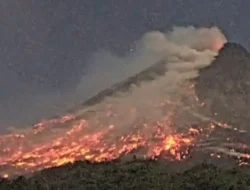Gunung Merapi Muntahkan Awan Panas 2 Km, Status Masih Siaga III