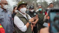 Menhut Bekukan Izin 5 Perusahaan Terkait Karhutla di Kalbar, Ada Paksaan Pemulihan Lingkungan