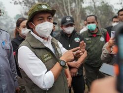 Menhut Bekukan Izin 5 Perusahaan Terkait Karhutla di Kalbar, Ada Paksaan Pemulihan Lingkungan