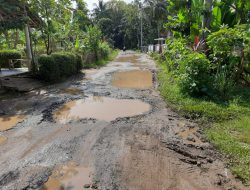 Jalan Rusak di Pedesaan Pandeglang, Warga Menunggu Perbaikan