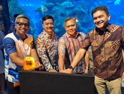 HUT ke-34 Sea World Ancol, Hadirkan Audio Guide untuk Pengalaman Wisata Edukasi Laut