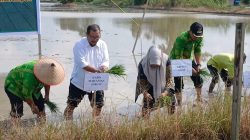 Dukung Kesejahteraan Petani, Kinerja Dinas Pertanian Sergai di Bawah Dedi Iskandar Tuai Apresiasi