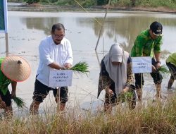 Dukung Kesejahteraan Petani, Kinerja Dinas Pertanian Sergai di Bawah Dedi Iskandar Tuai Apresiasi