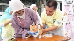 Munjirin Hadiri Hari Rabies Sedunia 2026, Jakarta Timur Gelar Vaksinasi dan Sterilisasi Hewan Gratis