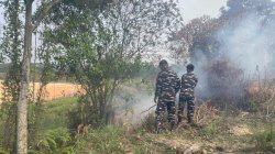 Sigap Cegah Karhutla,Babinpotmar Kodaeral IV Bersama Warga Berhasil Padamkan Kebakaran Lahan di Sagulung 