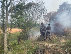 Sigap Cegah Karhutla,Babinpotmar Kodaeral IV Bersama Warga Berhasil Padamkan Kebakaran Lahan di Sagulung 