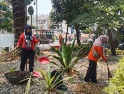 Jaga Lingkungan Balaikota Bersih DLHK Terjunkan 35 Petugas Pesapon Lakukan Aksi Bersih Bersih dan Tebang Pohon