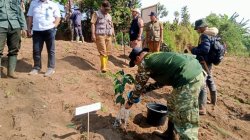 Dukung Penanganan Lahan Kritis, 1.000 Pohon Ditanam di Blok Artapela Kertasari Wilayah Sektor 1 Citarum