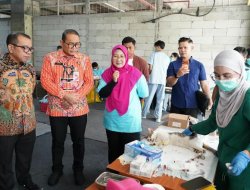Cegah Rabies, Wali Kota Jakpus Fasilitasi Vaksinasi dan Sterilisasi Kucing Gratis